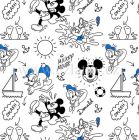 Petite COMIC MICKEY FRIENDS D M191 50 UNICO (Mickey a Donald)