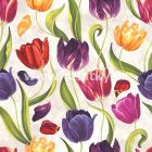 PO TREND TULIP H221 60 MULTICOLOR (tulipny)