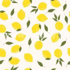 1846_051 (citrony na krmov)