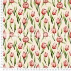 LALE 401 (tulipny)