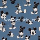 205482_0001 (Mickey Mouse na modr)