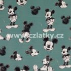 205482_0003 (Mickey Mouse na zelen)