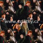 208233_0001 (Harry Potter)